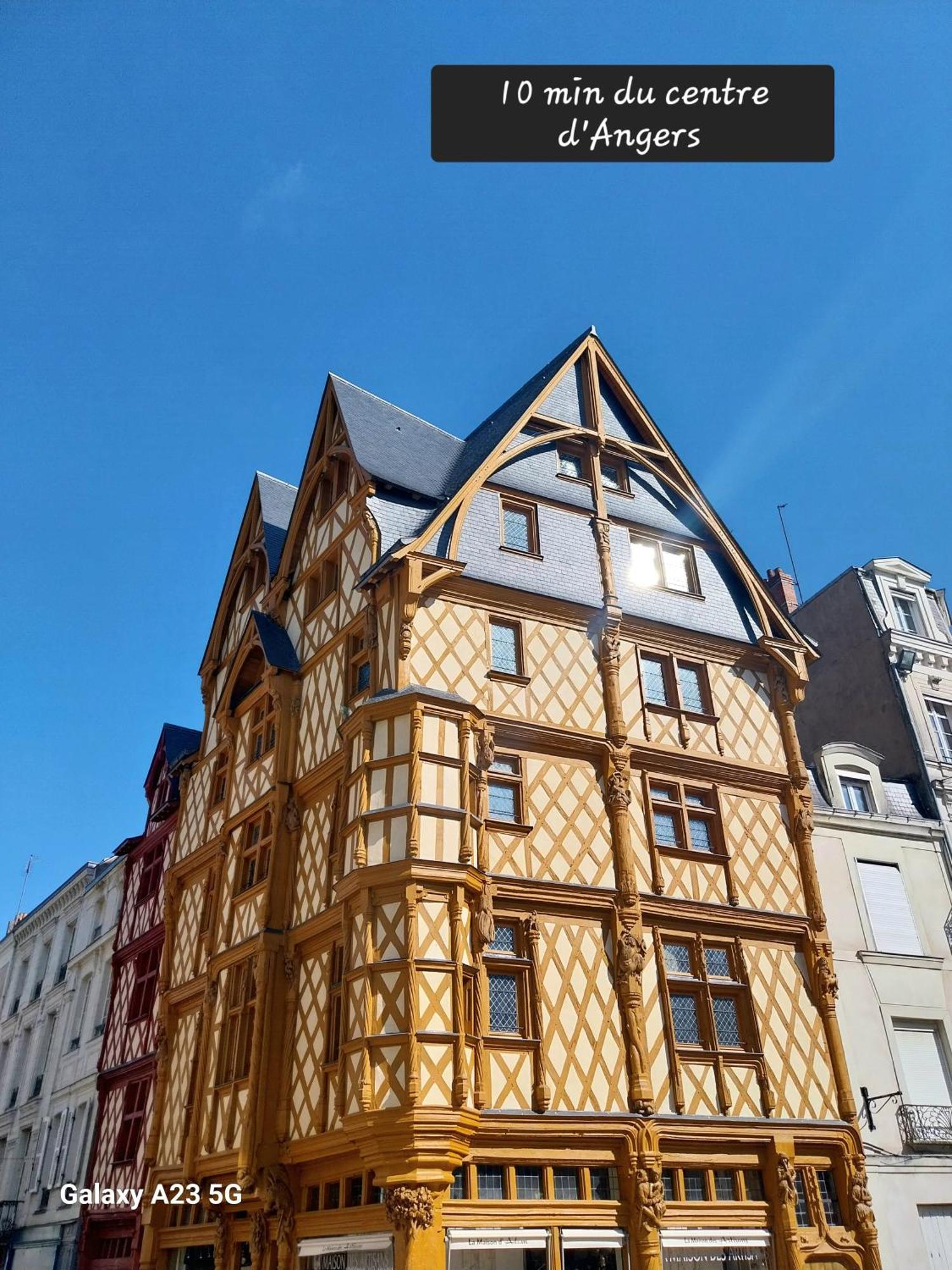 "Chez Lyly Et Juju" Piscine&Sauna Calme 3Chambres 앙제 외부 사진